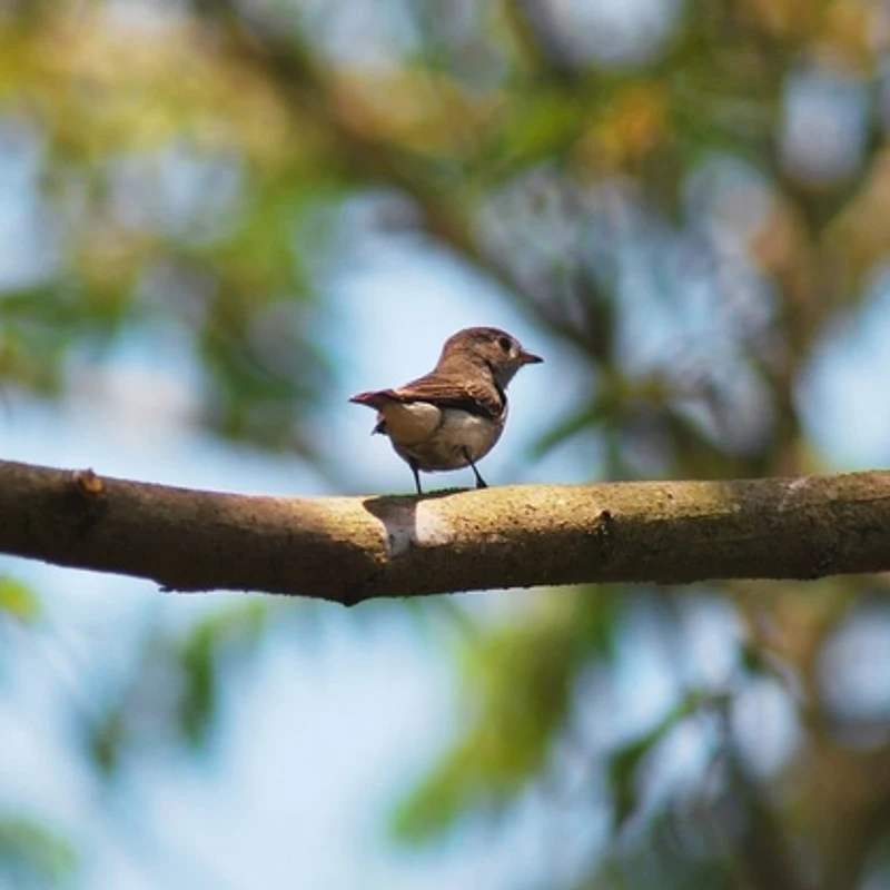 Comment author photo
